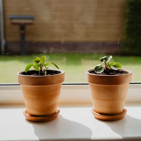 Сasa de vacaciones Rondomzon *