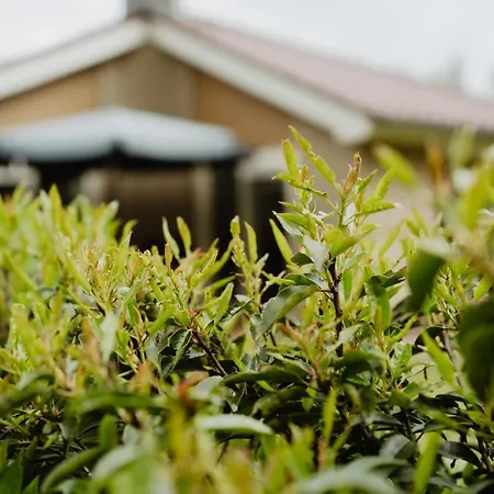 Rondomzon Сasa de vacaciones