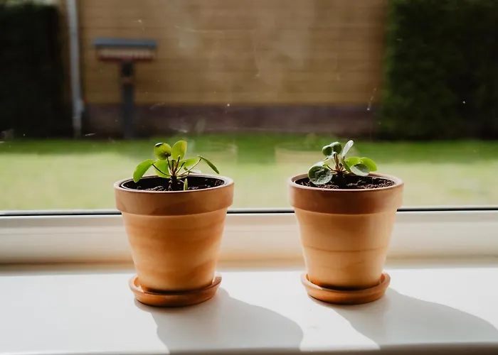 Holiday home Rondomzon *