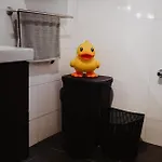 Rondomzon プッテン