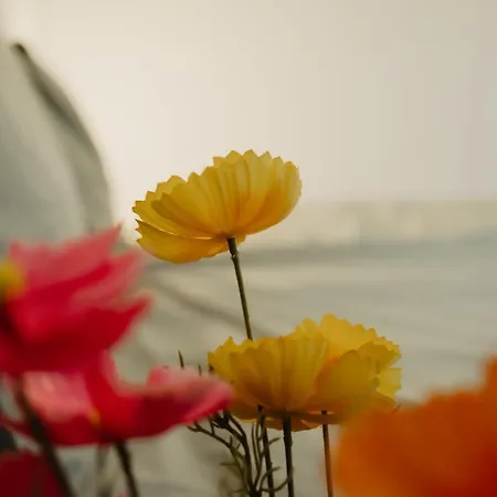 Rondomzon Holiday home