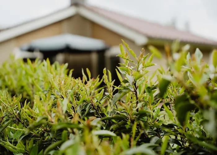 Rondomzon Holiday home