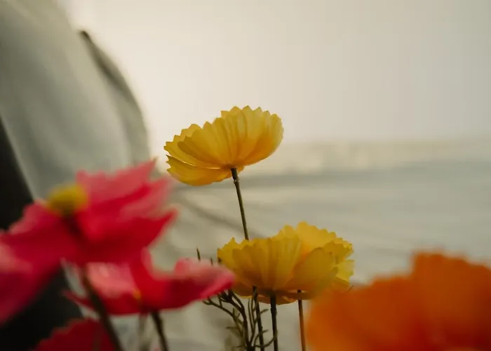 Rondomzon Holiday home